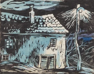 Huis bij nacht