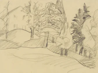 Huis in het bos
