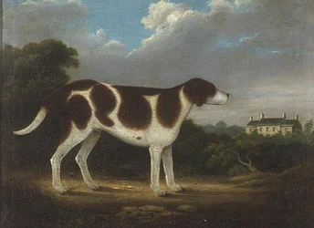Een Wijzer, Primitieve School