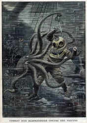 Een gigantische octopus slaagt er bijna in om de Amerikaanse duiker Martin Lund te overmeesteren - Een gigantische octopus valt de Amerikaanse duiker Martin Lund aan - Gevecht van een duiker tegen een octopus - 