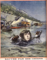 Een vrouw valt in de Seine en wordt gered door haar honden in Parijs. Gravure in "Le petit parisien" op 14/08/1910. Privécollectie.