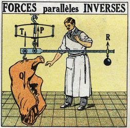 Krachten: omgekeerde parallelle krachten. Een slager die een vleescarcass weegt met een Romeinse weegschaal. Anonieme illustratie uit 1925. Privécollectie.
