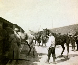 Foto uit een persoonlijk album van een infanterieluitenant tijdens de eerste maanden van de Eerste Wereldoorlog