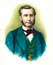 Portret van Emile Ollivier (1825-1913), Franse politicus. Gravure uit de 19e eeuw. Privécollectie