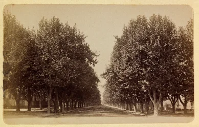 De stad Marseille en haar omgeving rond 1885-1890: de Prado