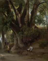 Italiaans boomlandschap (weg bij Albano)