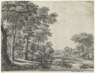 Bosrand met een houten brug