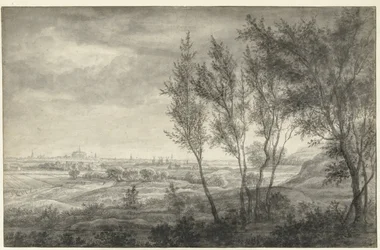 Gezicht vanuit de duinen op Haarlem