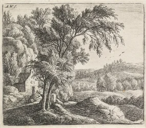 Kluizenaarshut (Rotsachtige landschappen)