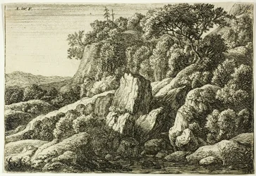 Rotsachtig landschap