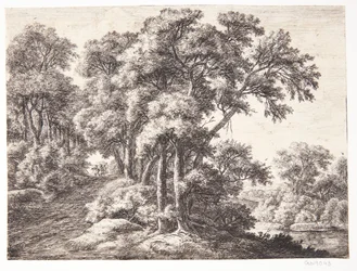 Bosweg bij een rivier