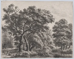 De Eendenjager, 17e eeuw