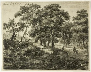 De groep van vier bomen