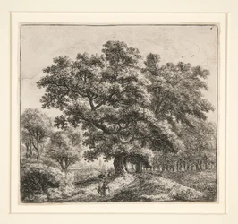 Het melkmeisje