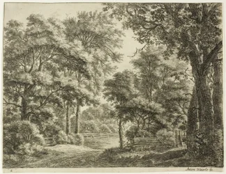 De delen van het hout die pas zijn gesneden