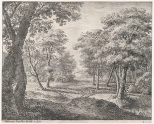De Weg door het Bos