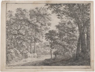 De Getrimde Bosjes, 17e eeuw