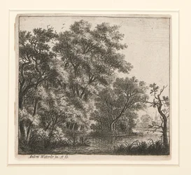 Het Beboste Eiland