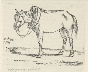 Opgetuigd paard