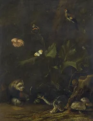 Dieren en planten