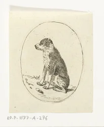 Zittende hond