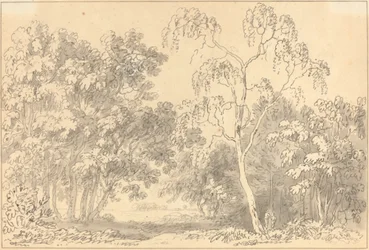 Bosrijk Landschap