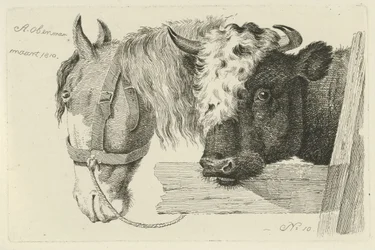 Paardenhoofd en stierenkop