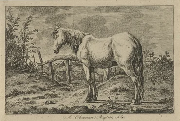 Staand paard