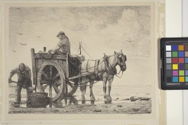Zeewierverzamelaars (litho)