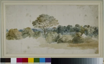 Landschap