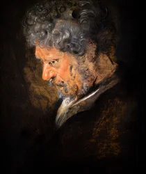 Studie van het hoofd van een oude man: linkerprofiel (detail)