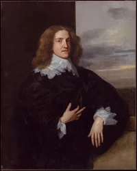 Jonge heer (graaf van Downe)