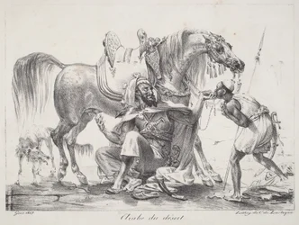 Woestijn Arabier