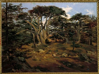 De oude ceders op de berg Libanon bij Boumana