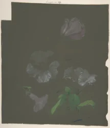 Floraal ontwerp