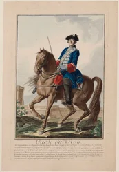 Garde du roi