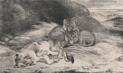 Leeuwin en welpen
