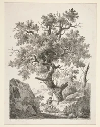 Zonder titel [Man zittend bij boom]