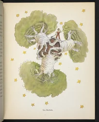 De Baobabs, illustratie uit 