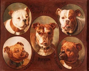 Nell, Dido, Punch, Maggie Lauder en Alexander, Engelse Bulldogs