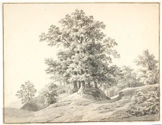 Landschap met grote bomen bij de Elbe. Buxtehude