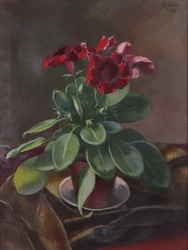 Anton Hula pot plant