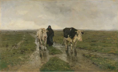 Veranderende Weide