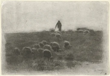 Herder met kudde schapen