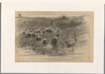 Herder met kudde schapen