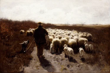 Terugkeer van de kudde
