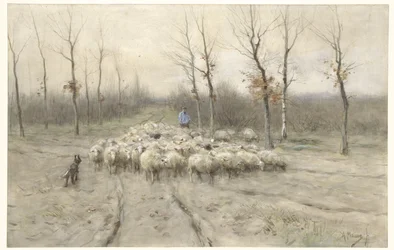 Schapenkudde op de heide bij Laren