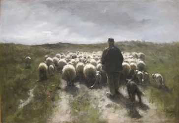 Herder en schapen