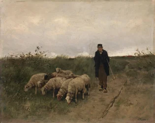 Herder en schapen