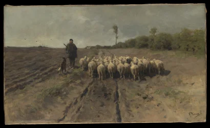 De terugkeer naar de kudde